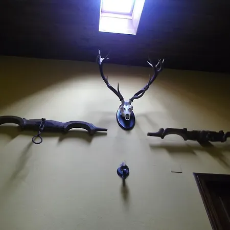 Pensión Rural El Rincon De Gadea Santa Gadea (Castile and Leon)